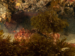 Diaporama